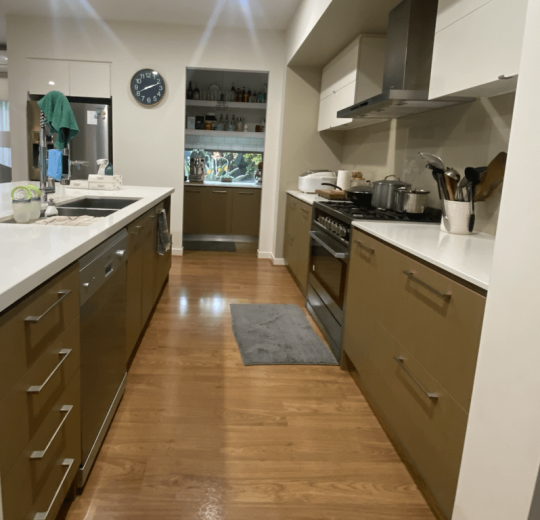 kitchen cabinetry before